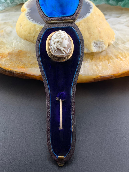Outstanding Medusa Cameo Stick Pin 14K circa Mid 19th Century