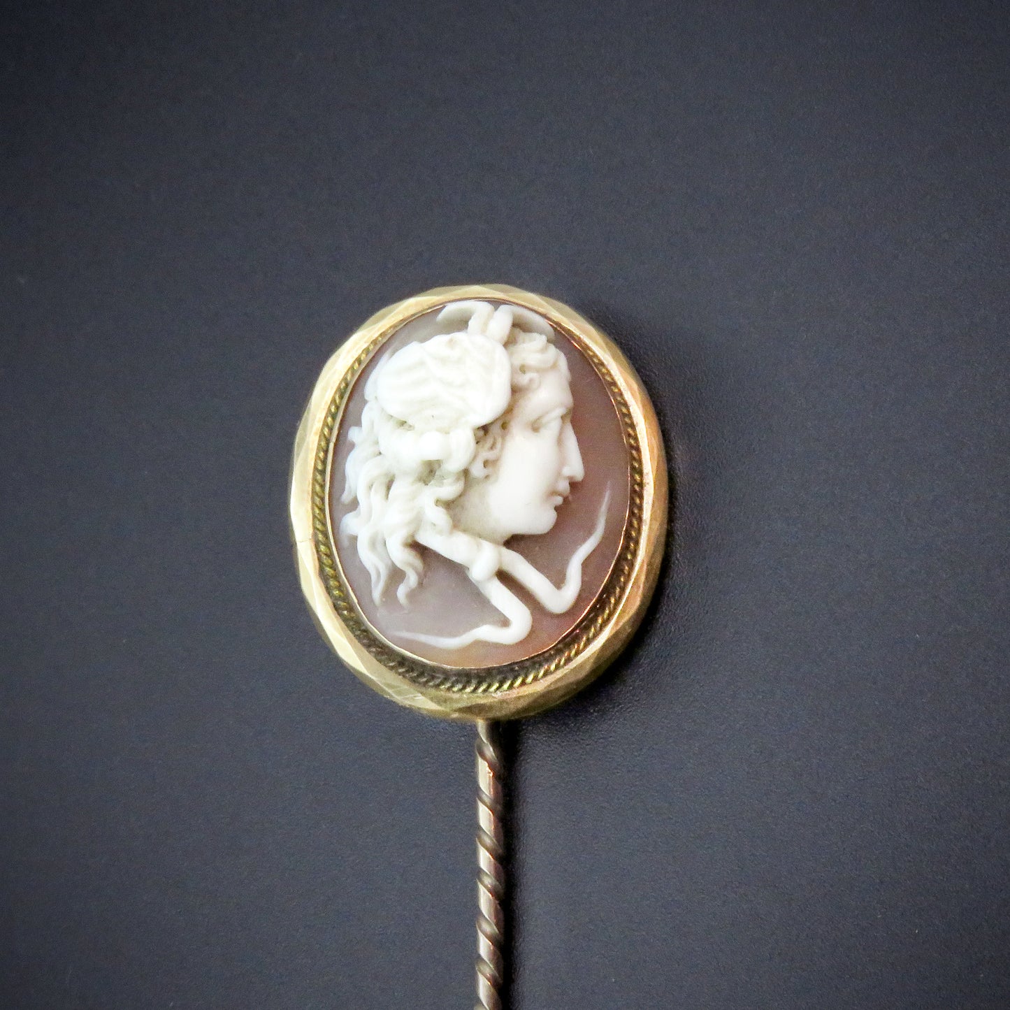 Outstanding Medusa Cameo Stick Pin 14K circa Mid 19th Century